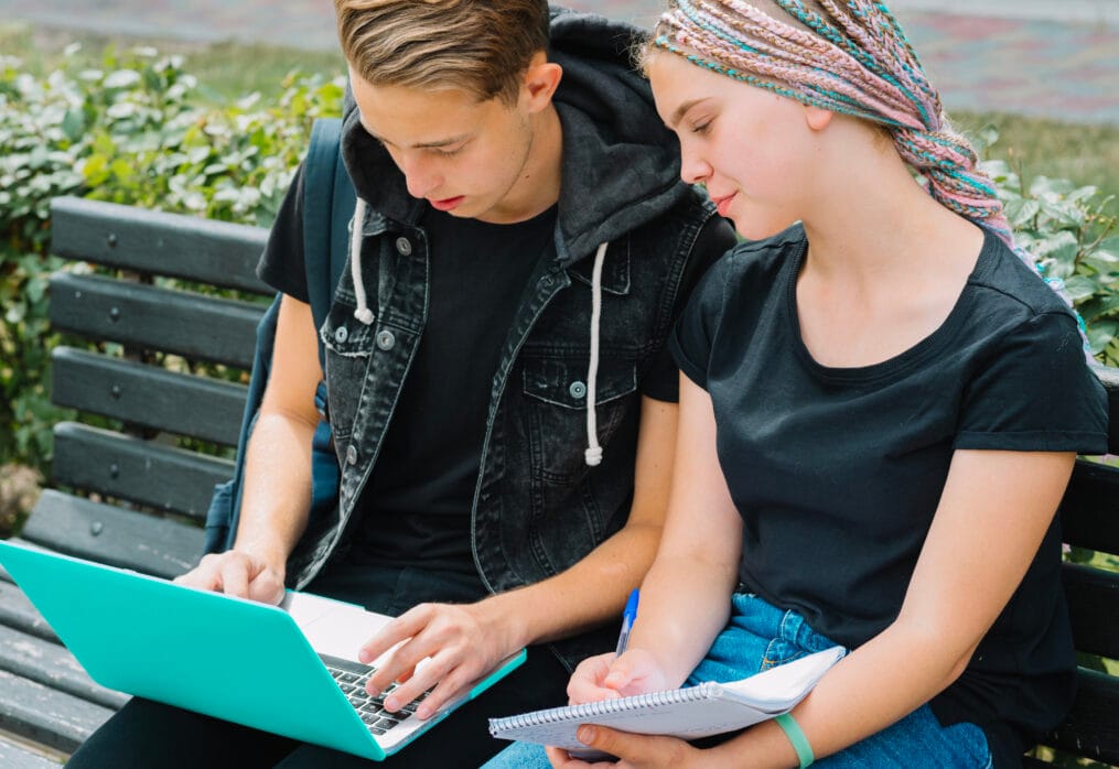Youth as Agents of Change: The Role of Digital Activism in Austria
